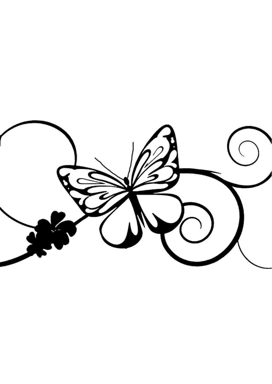 Раскраска Гарні розмальовки Проста метелик