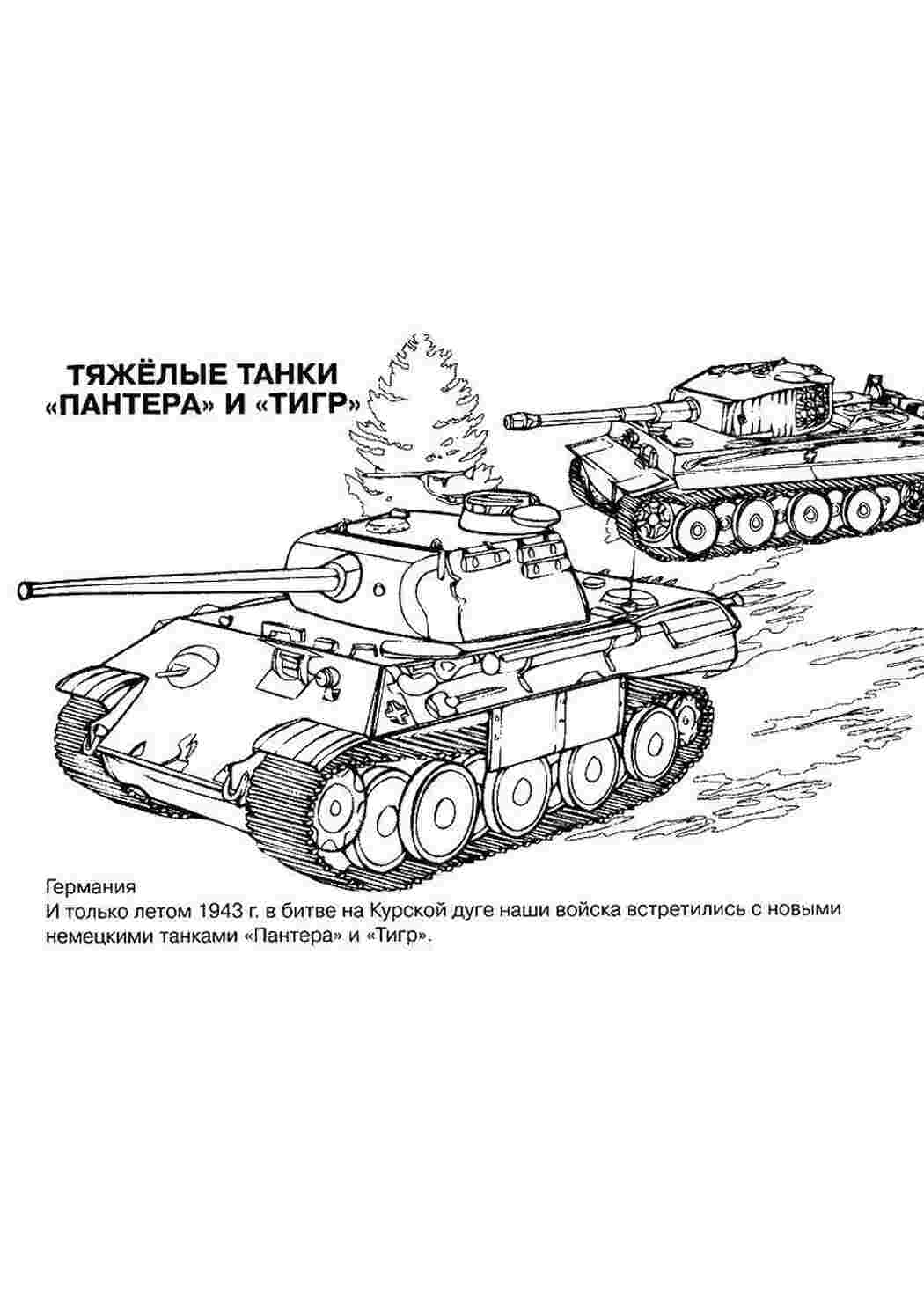 Раскраска Пантера і тигр