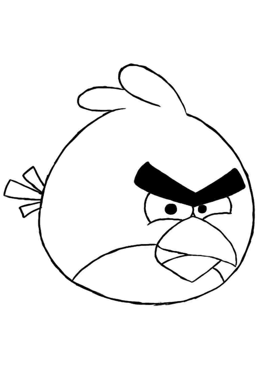 Раскраска Пташка з Angry Birds