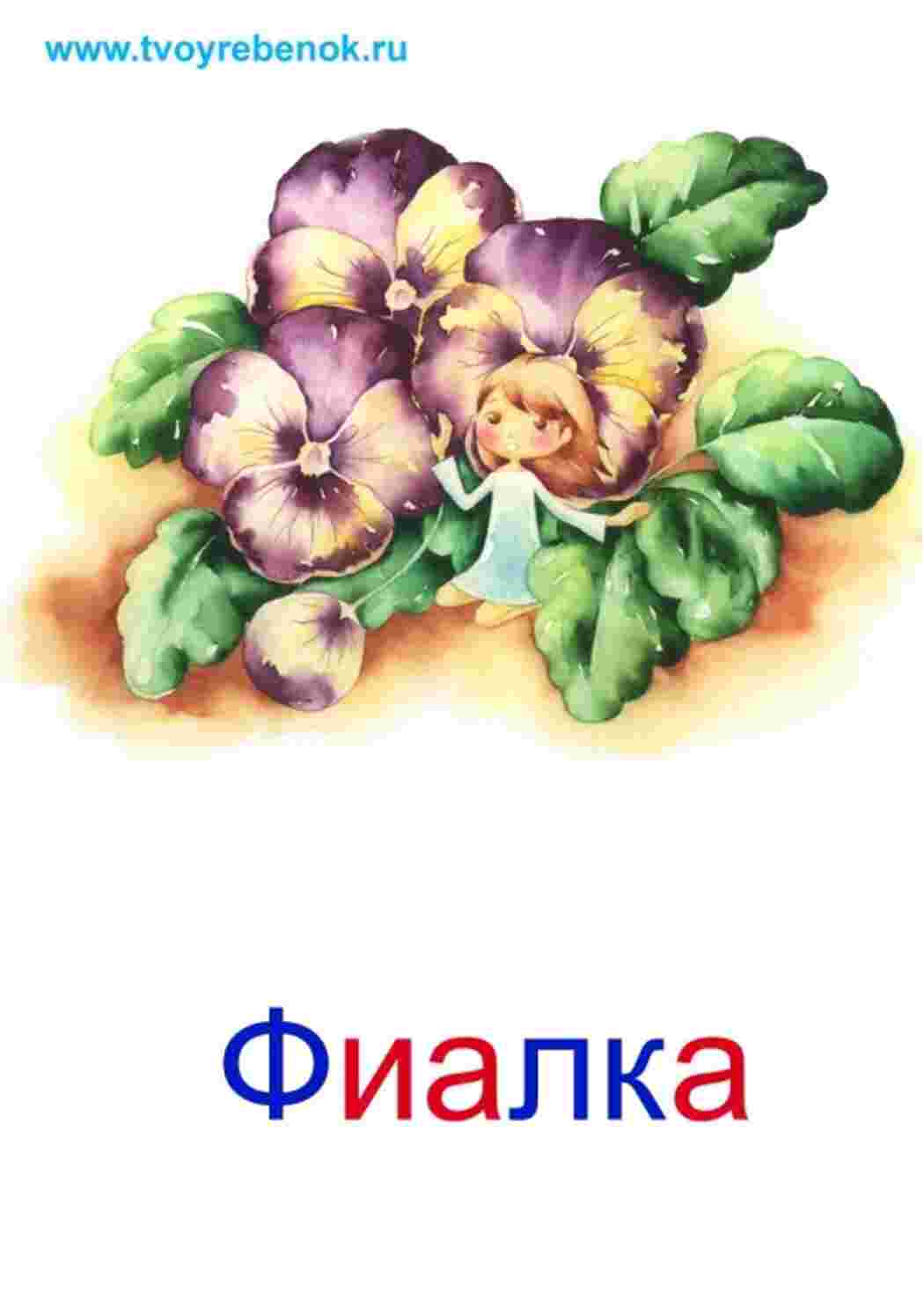 Раскраска зображення квіти троянди ромашки