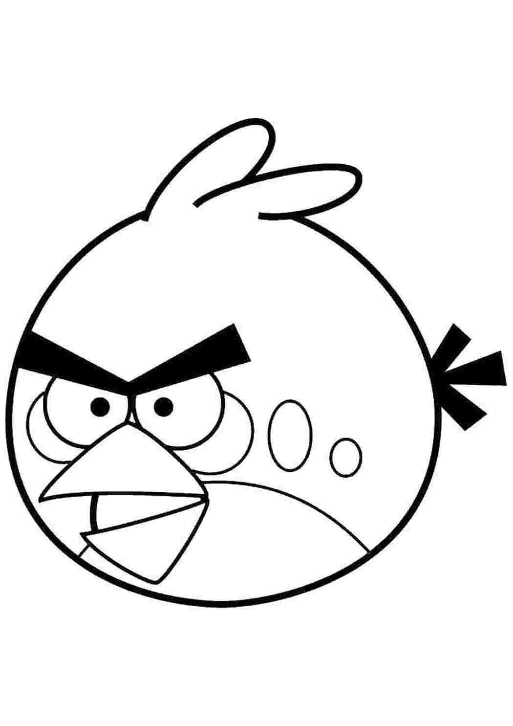 Раскраска Червона пташка Angry Birds
