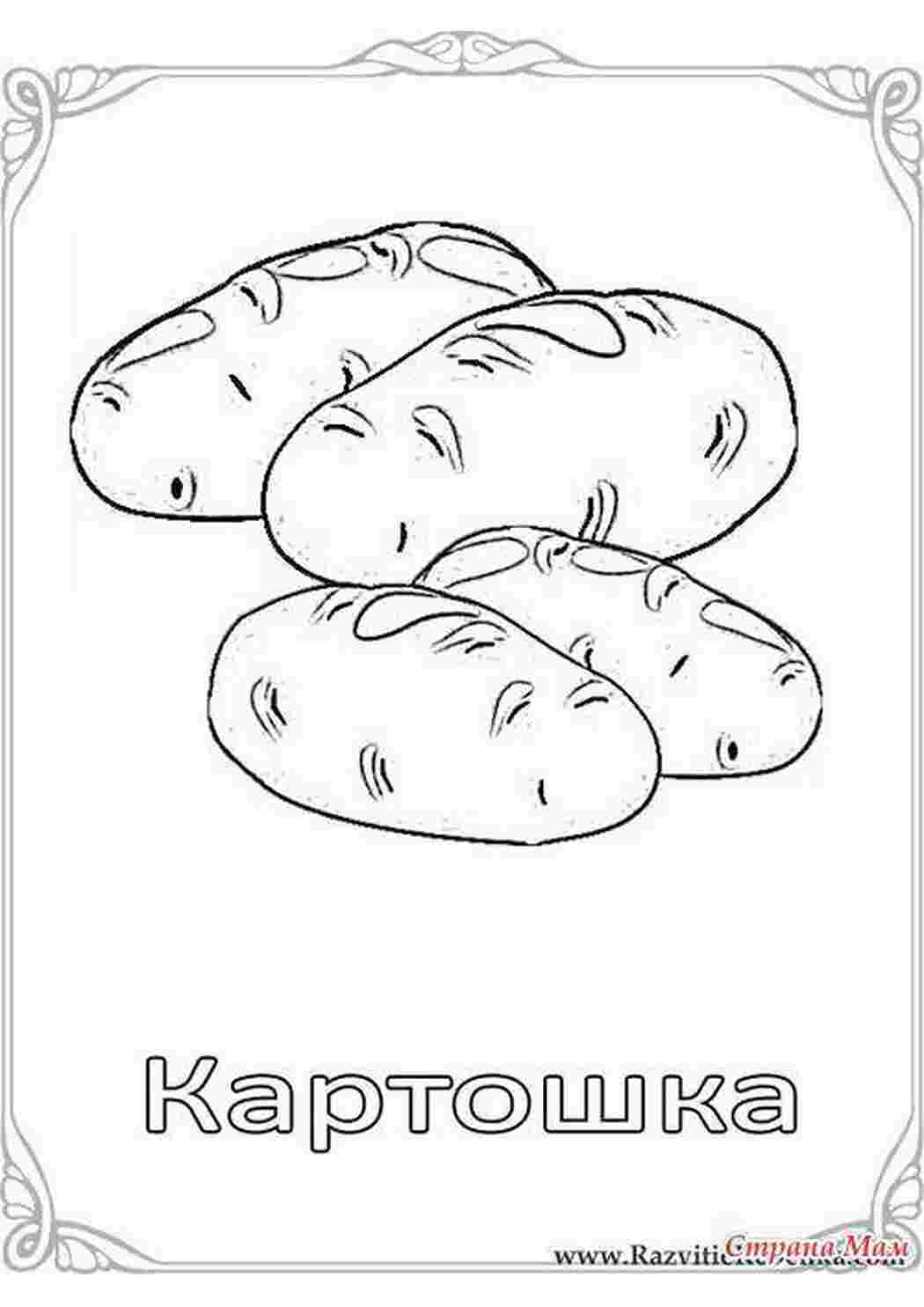 Раскраска Картопля