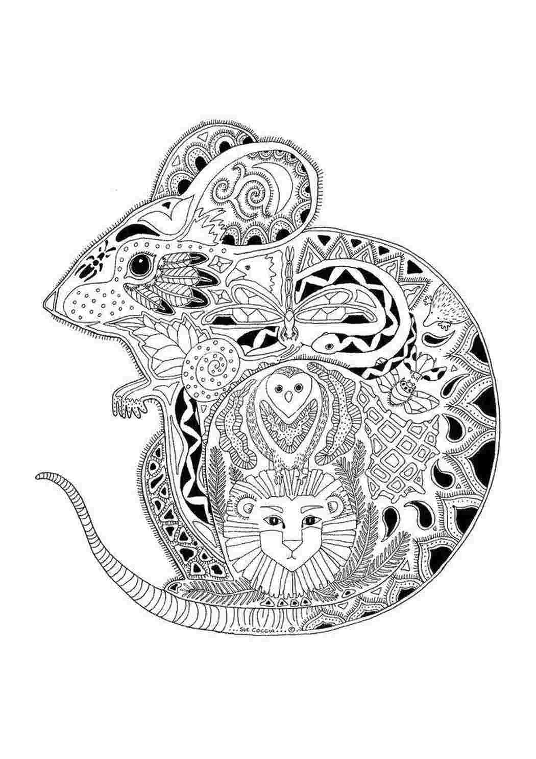 Раскраска Візерункова щуря