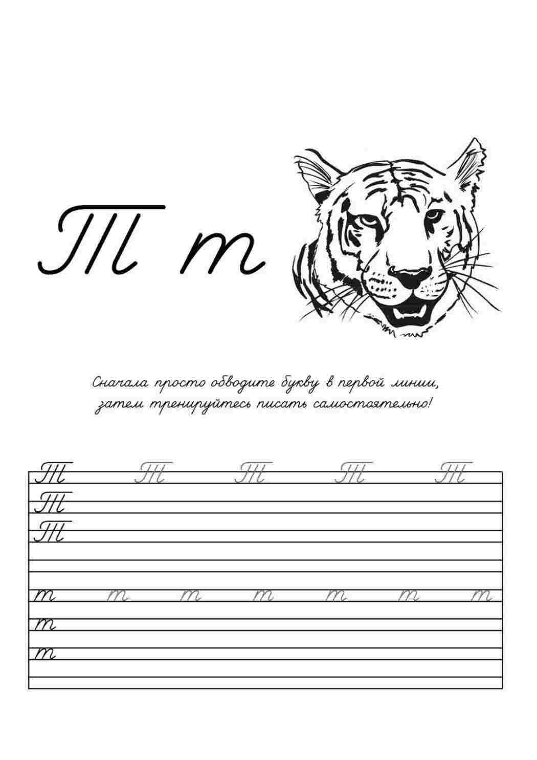 Раскраска Розмальовка літера т прописом розмальовка тигр