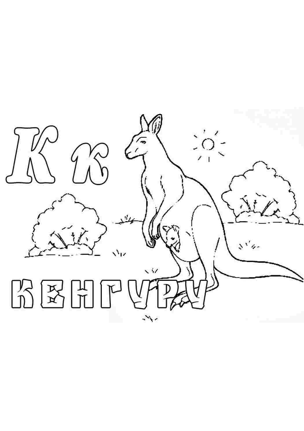 Раскраска Розфарбування кенгуру