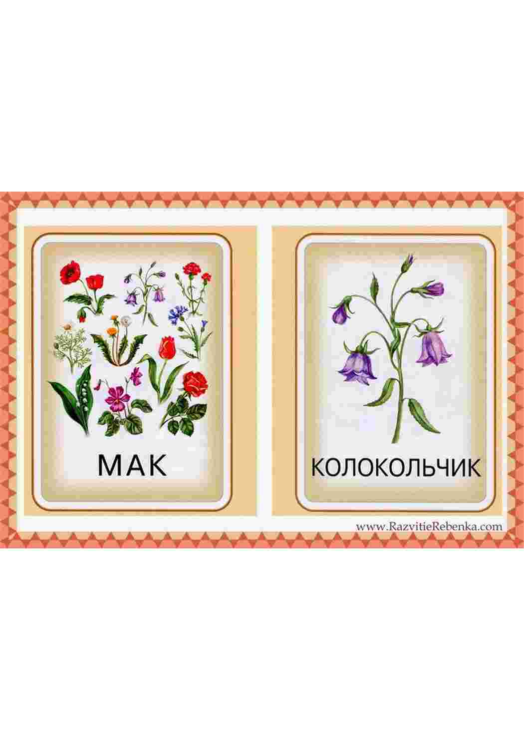 Раскраска зображення квіти троянди ромашки