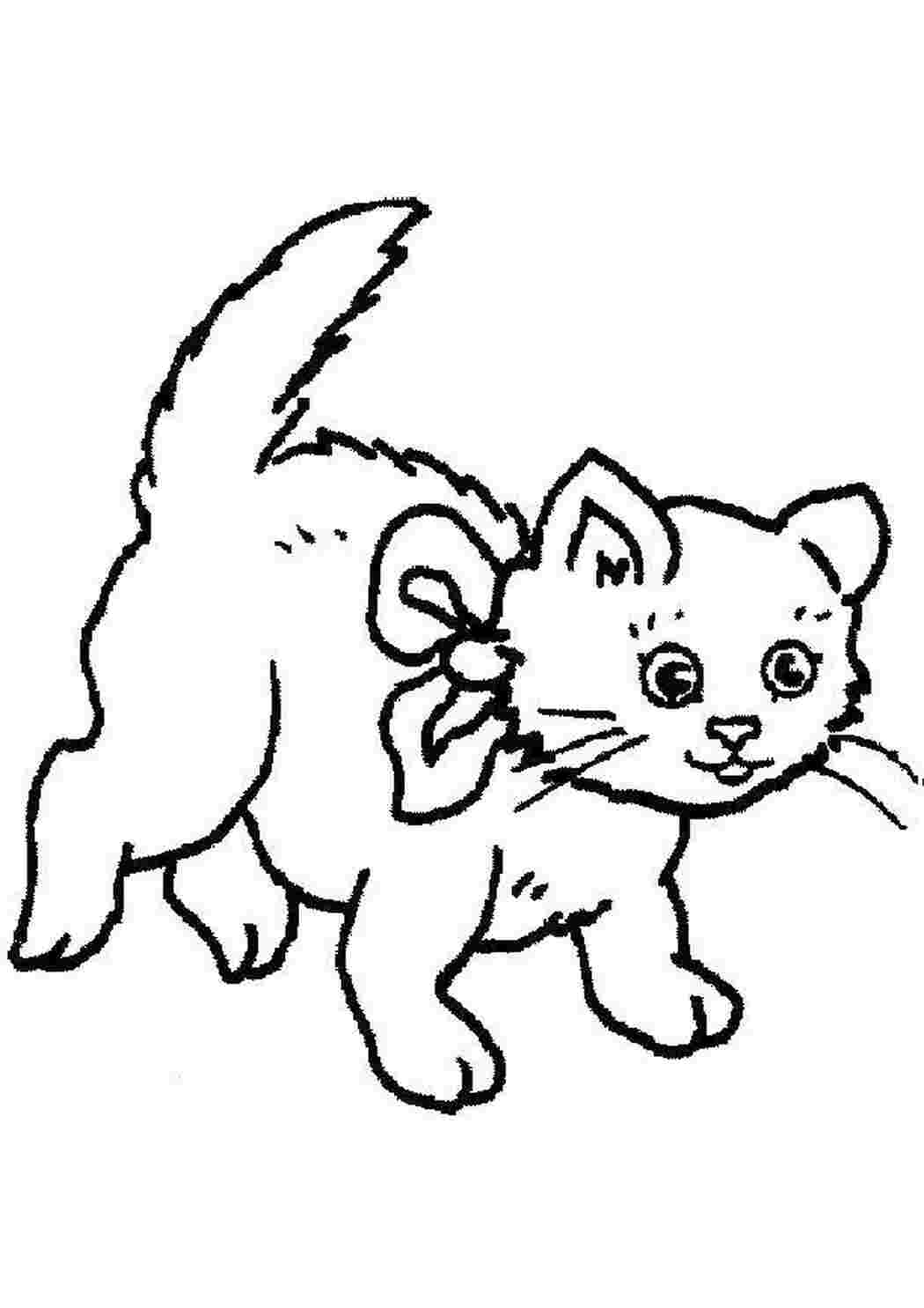 Раскраска Граційний котик