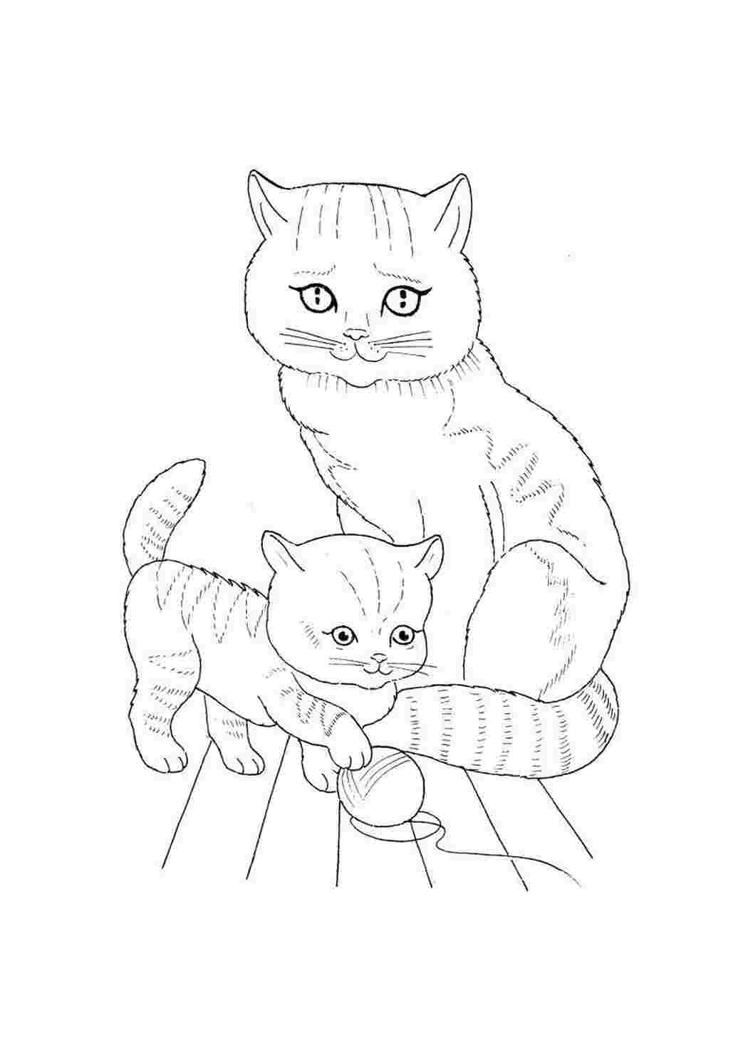 Раскраска Кошеня з мамою