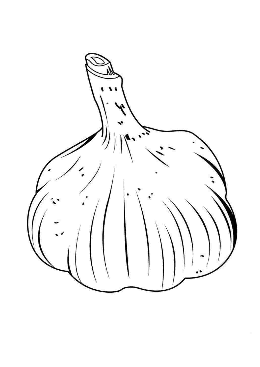 Раскраска Часник